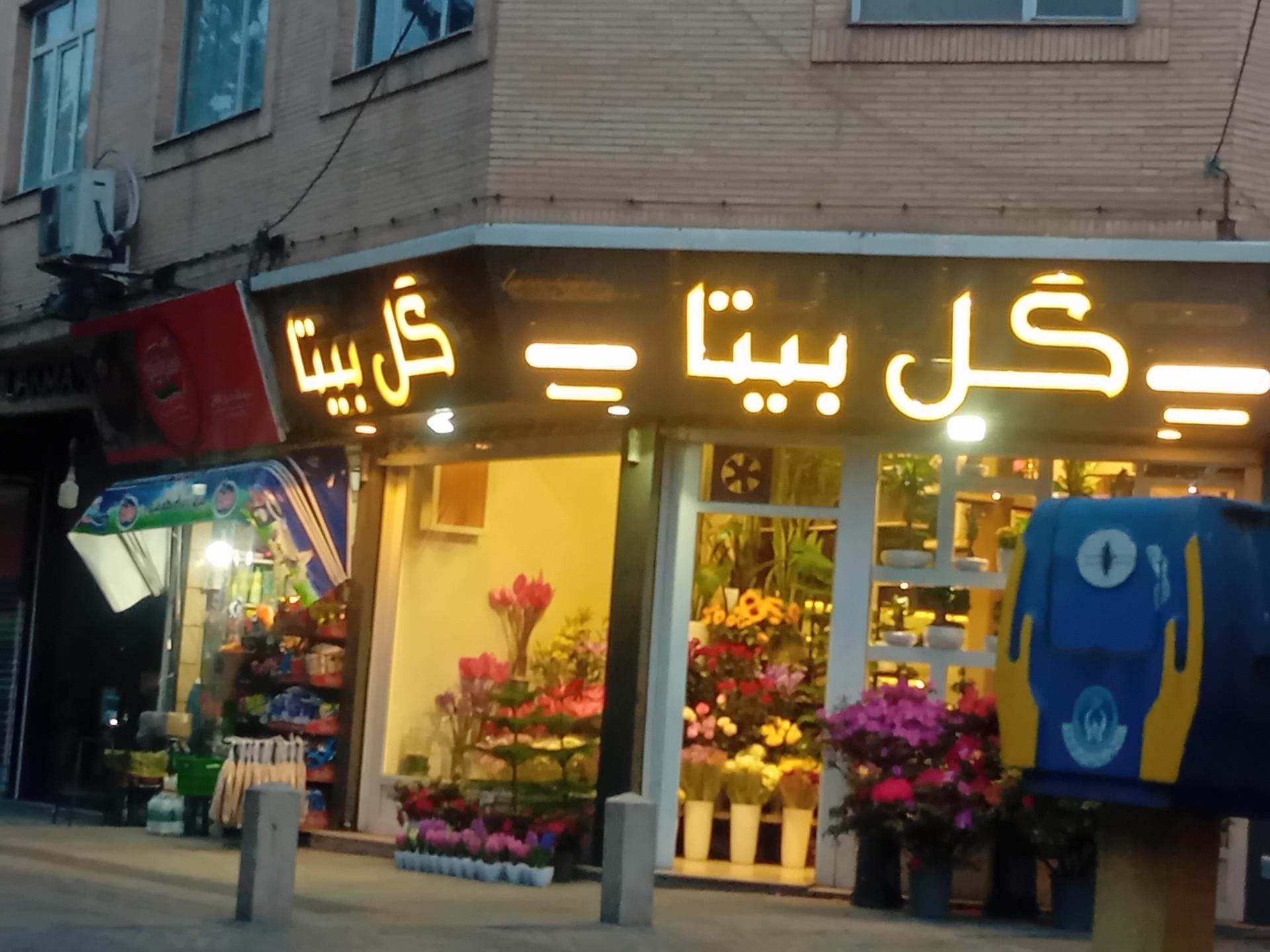 عکس گل بیتا