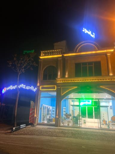 عکس آسانسور بهنام رحیم زاده