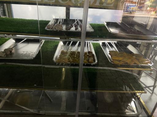 عکس جگرسرای روژا