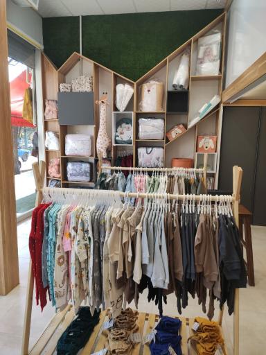 عکس سیسمونی کیدونا