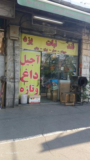 عکس خشکبار کندو