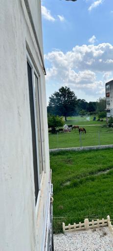 عکس شهرک ولیعصر چوکا