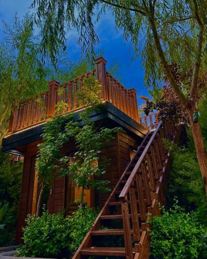 عکس باغ رستوران نوتریکا