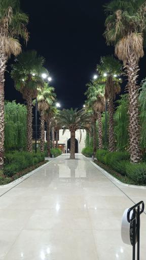 عکس باغ رستوران نوتریکا