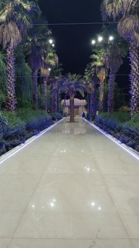 عکس باغ رستوران نوتریکا