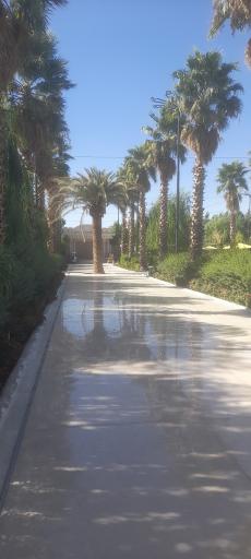 عکس باغ رستوران نوتریکا