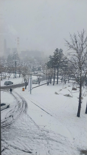 عکس بوستان شیدای اصفهانی جنوبی