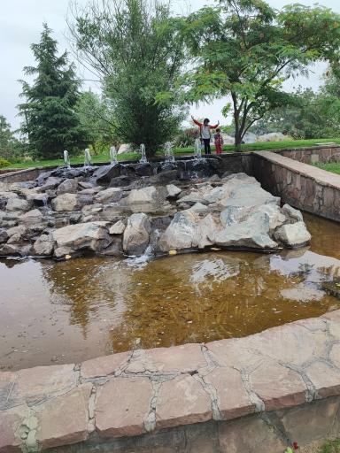 عکس بوستان ارغوان