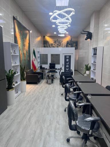 عکس مشاور املاک دژاوو