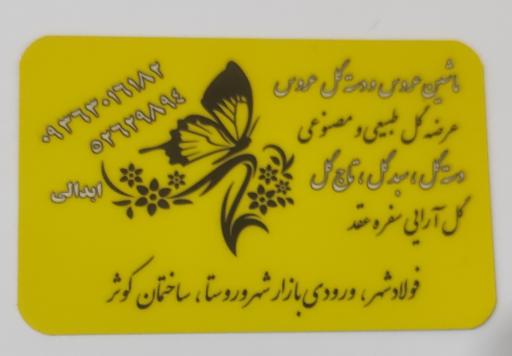 عکس گل مینیاتور