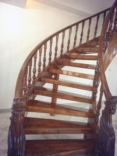 عکس توسکا چوب رضوی