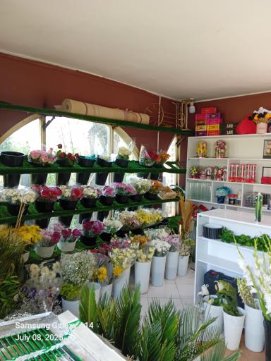 عکس گل سرای جزایری 