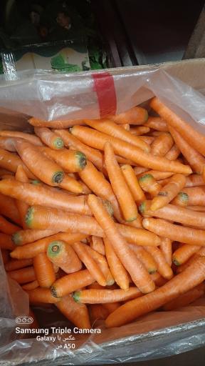 عکس میوه ارم