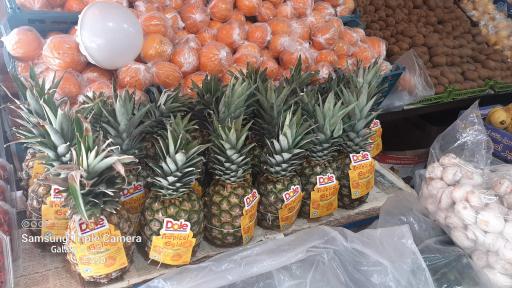 عکس میوه ارم