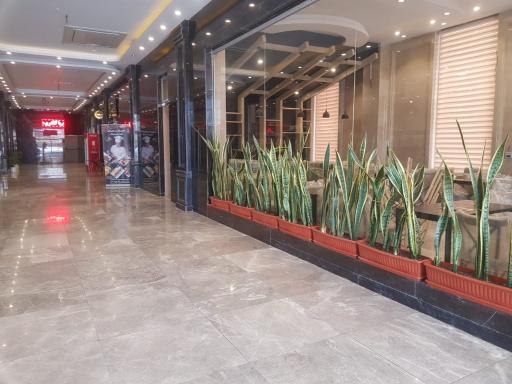 عکس باربیکیو برلیان