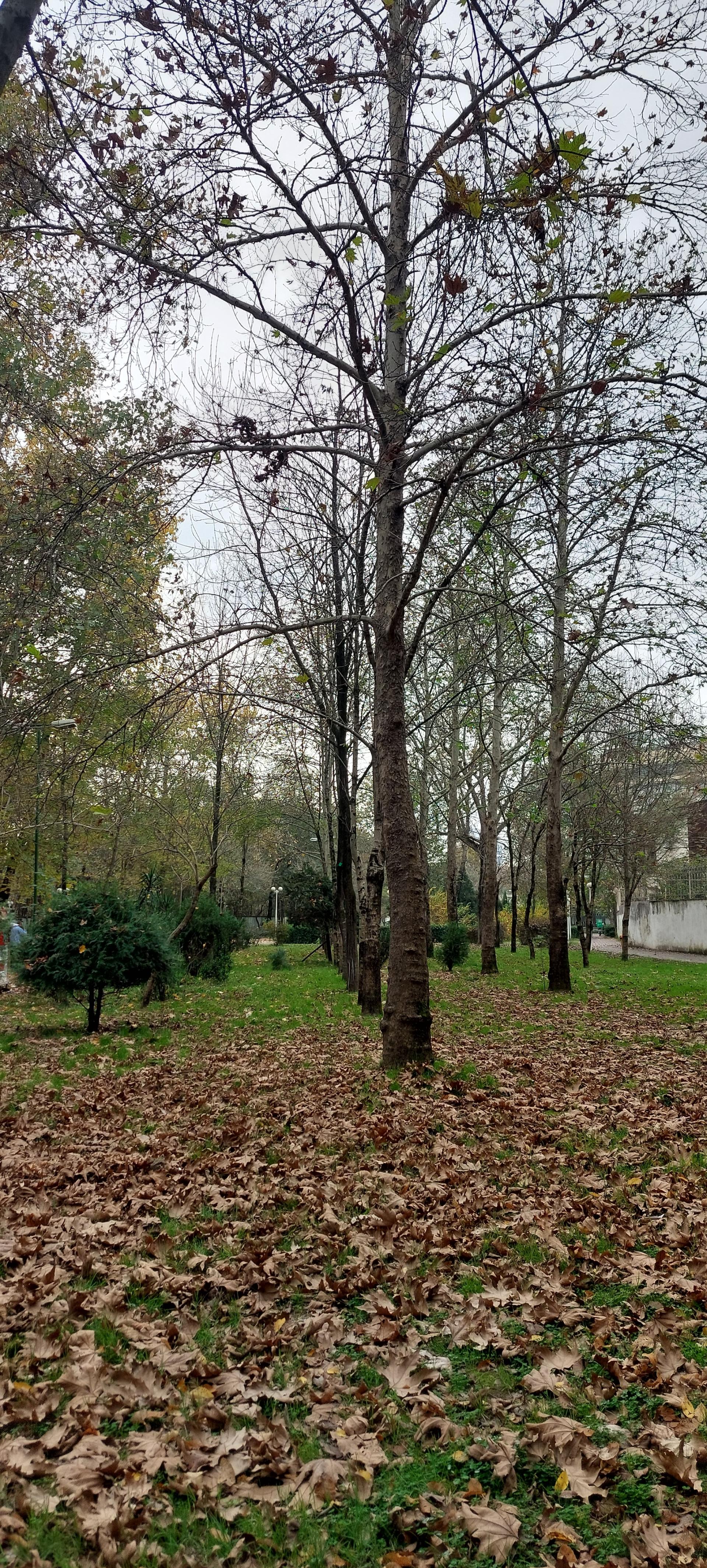 عکس بوستان اندیشه