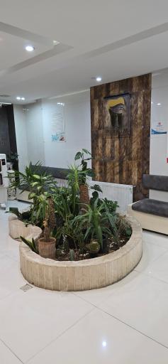 عکس کلبه دندان