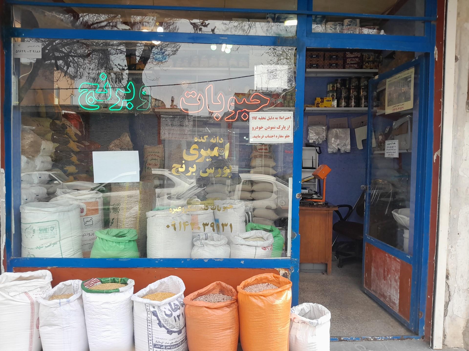 عکس دانه کده امیری