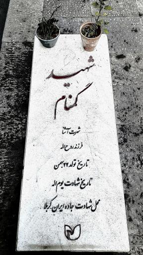 عکس قطعه شهدای گمنام 