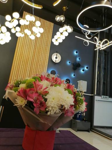 عکس گالری روشنایی فرست لایت