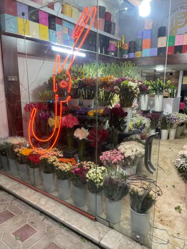 عکس گل پیونی