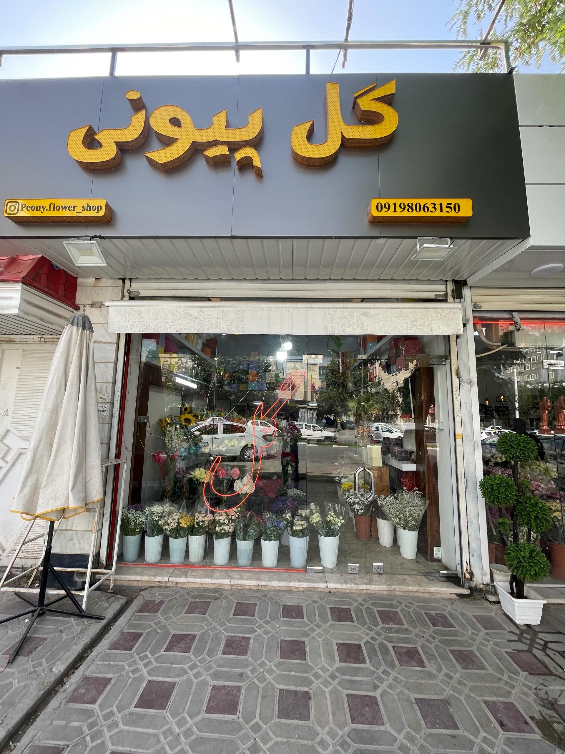 عکس گل پیونی