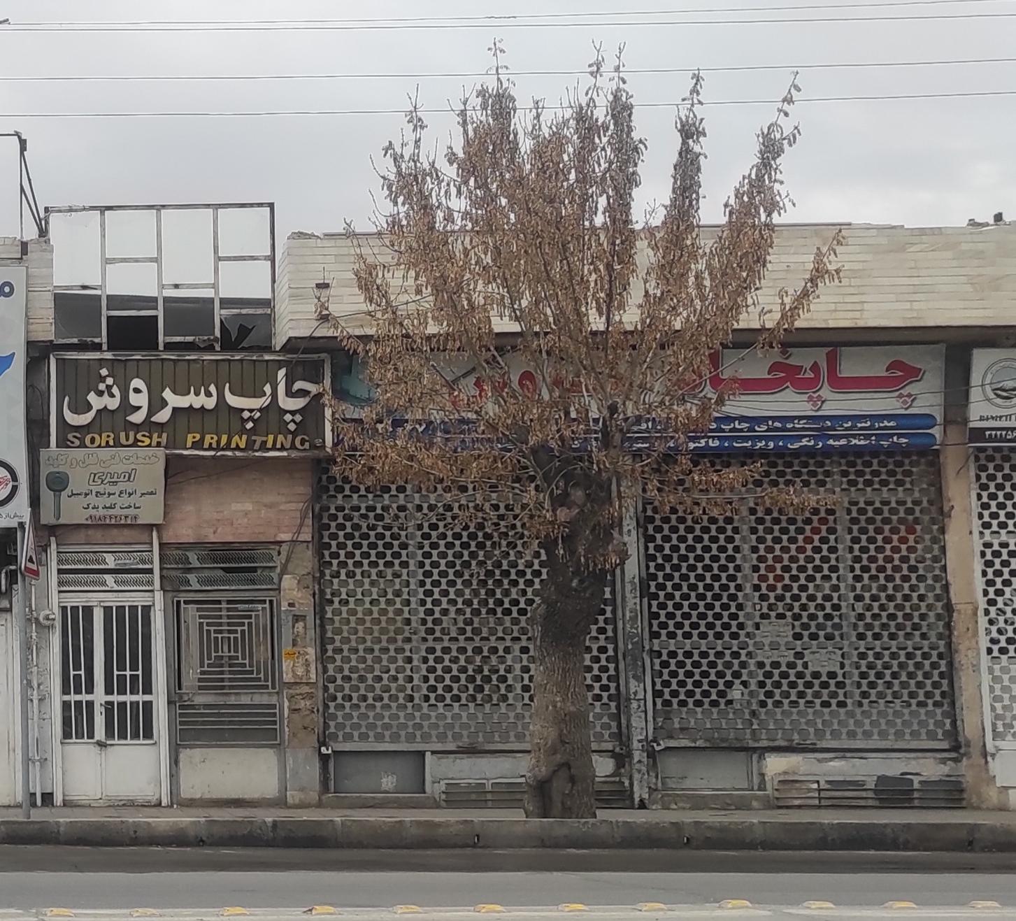 عکس چاپ سروش