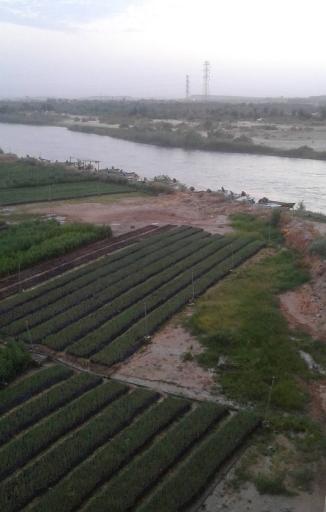 عکس پارک آبی جزیره شوشتر
