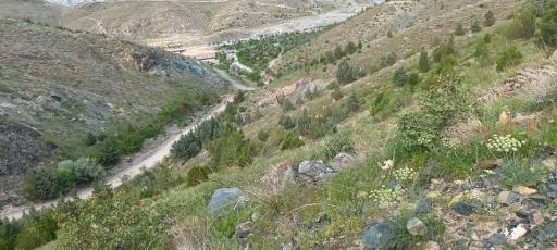 عکس کوه پارک مشهد