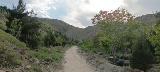 عکس کوه پارک مشهد