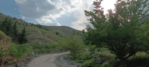 عکس کوه پارک مشهد