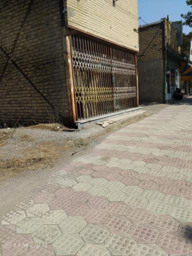 عکس خراطی نارون
