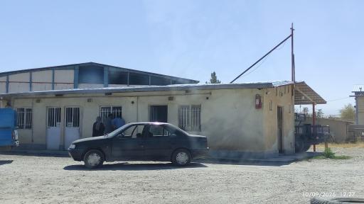 عکس نیک گاز