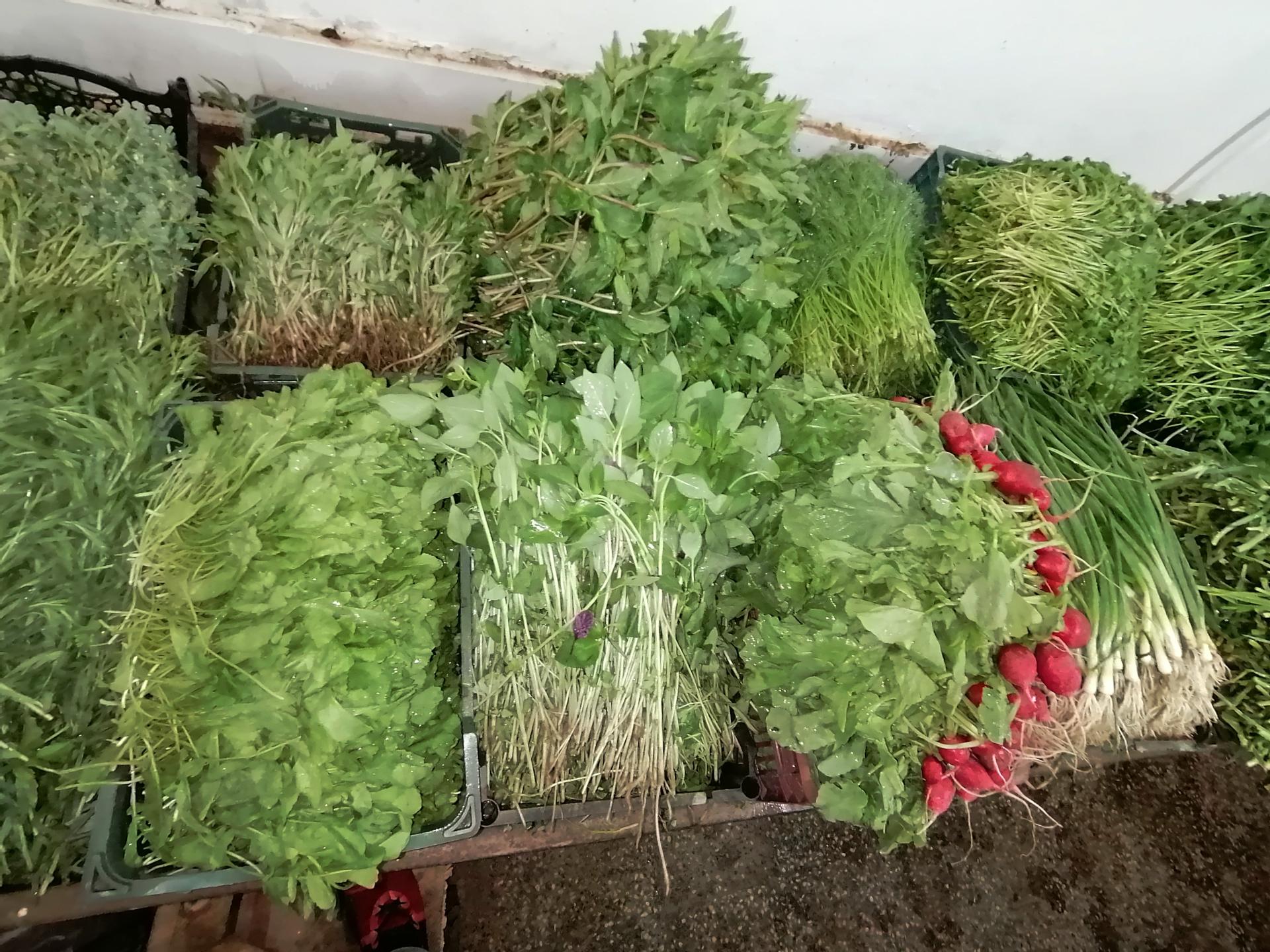 عکس سبزی دستچین 