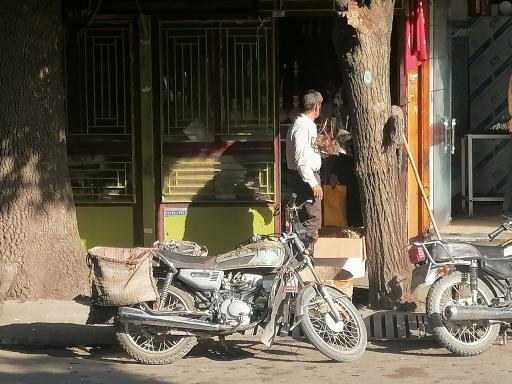 عکس ذغال فروشی حاج حسین و پسران(به جز علی رضا)