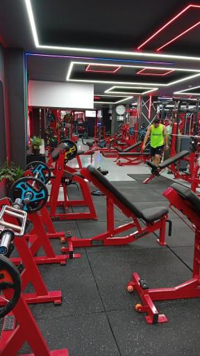عکس پرورش اندام کوروش برتر
