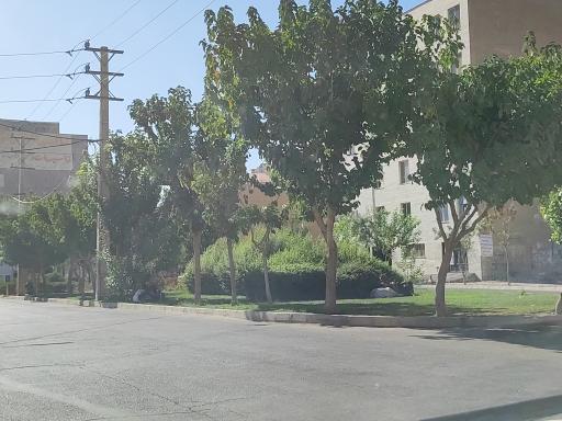 عکس فضای سبز