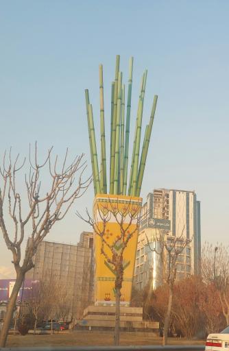 عکس بوستان اقاقیا