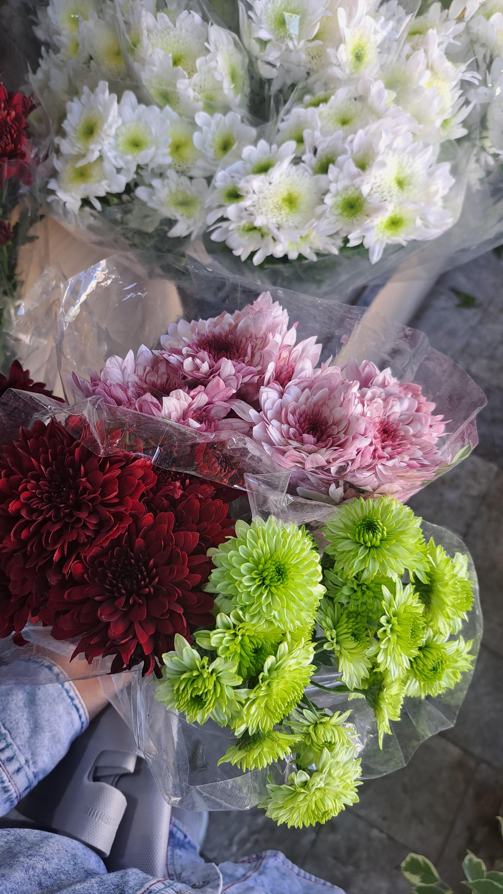 عکس گلسرای یاسمن