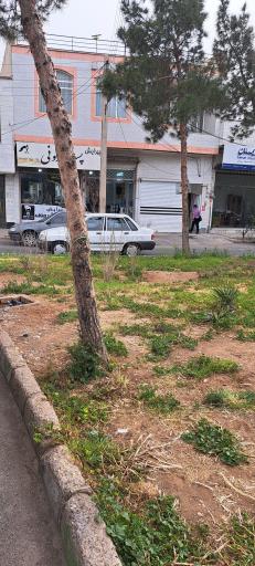 عکس پیرایش‌ پسر ایرونی