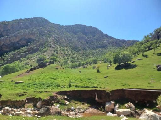 عکس منطقه لیتنجاب سرنجه زیودار