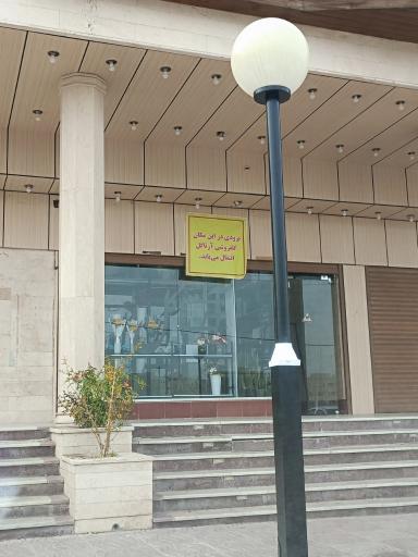 عکس آرتا گل