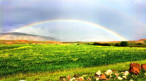 عکس منطقه لیتنجاب سرنجه زیودار