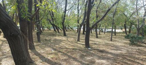 عکس بوستان میثاق