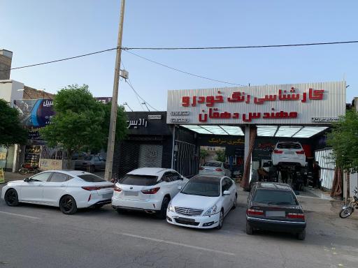 عکس کارشناسی و تشخیص رنگ مهندس دهقان