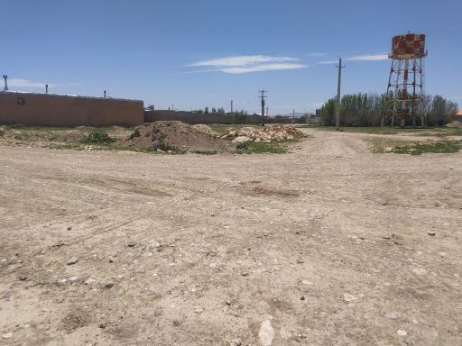 عکس شاوه
