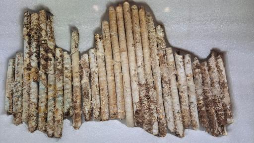 عکس کاخ ملکه