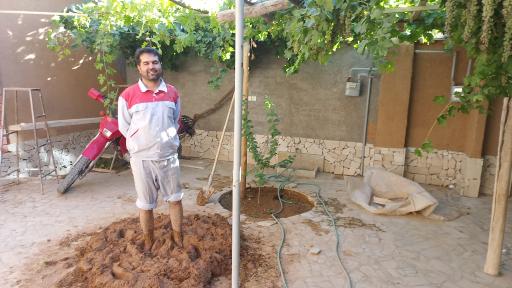 عکس اقامتگاه بومگردی هزارو یک شب