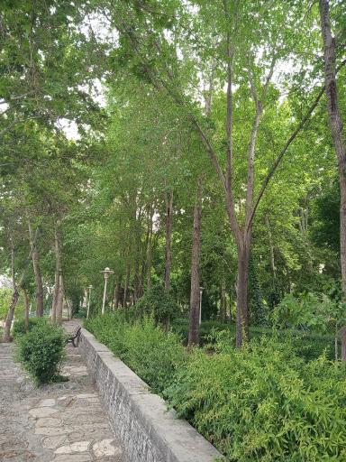 عکس بوستان ترمه