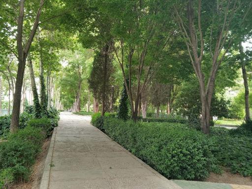 بوستان ترمه